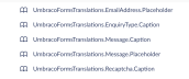 screenshot of Umbraco 8 - Umbraco Forms and converting fields to translations nodes